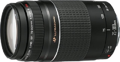Canon EF 75-300mm f/4-5.6 III USM - CeX (AU): - Buy, Sell, Donate